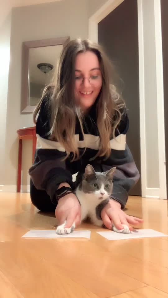 @Chloé Beaugrand-Deslauriers