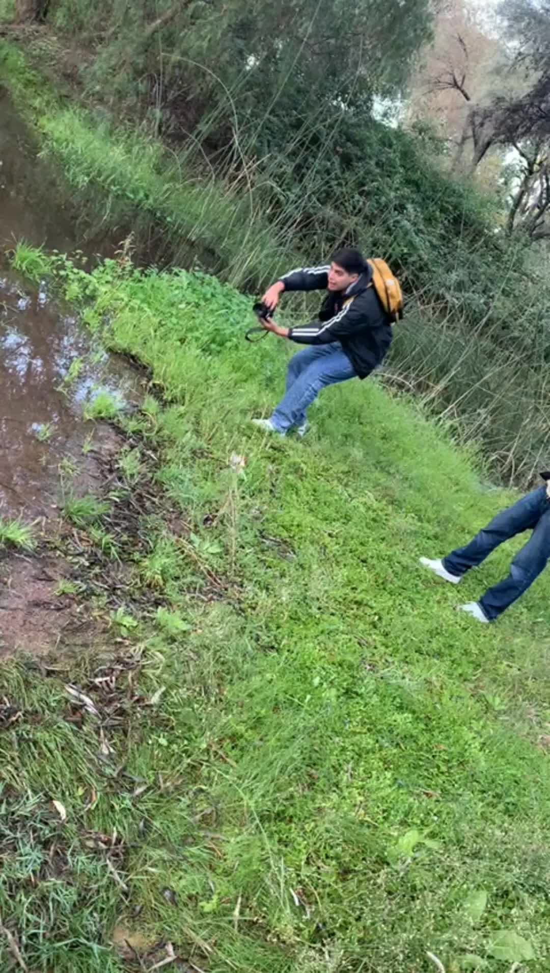 @Cesar Rodriguez8622