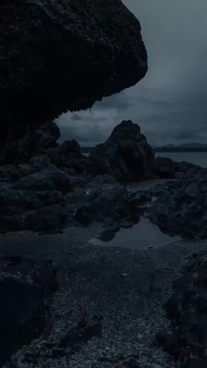 @𝘿𝙄𝙎𝙎𝙀𝙈𝘽𝙇𝙀𝙍