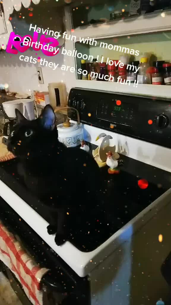 @brendagriffith742