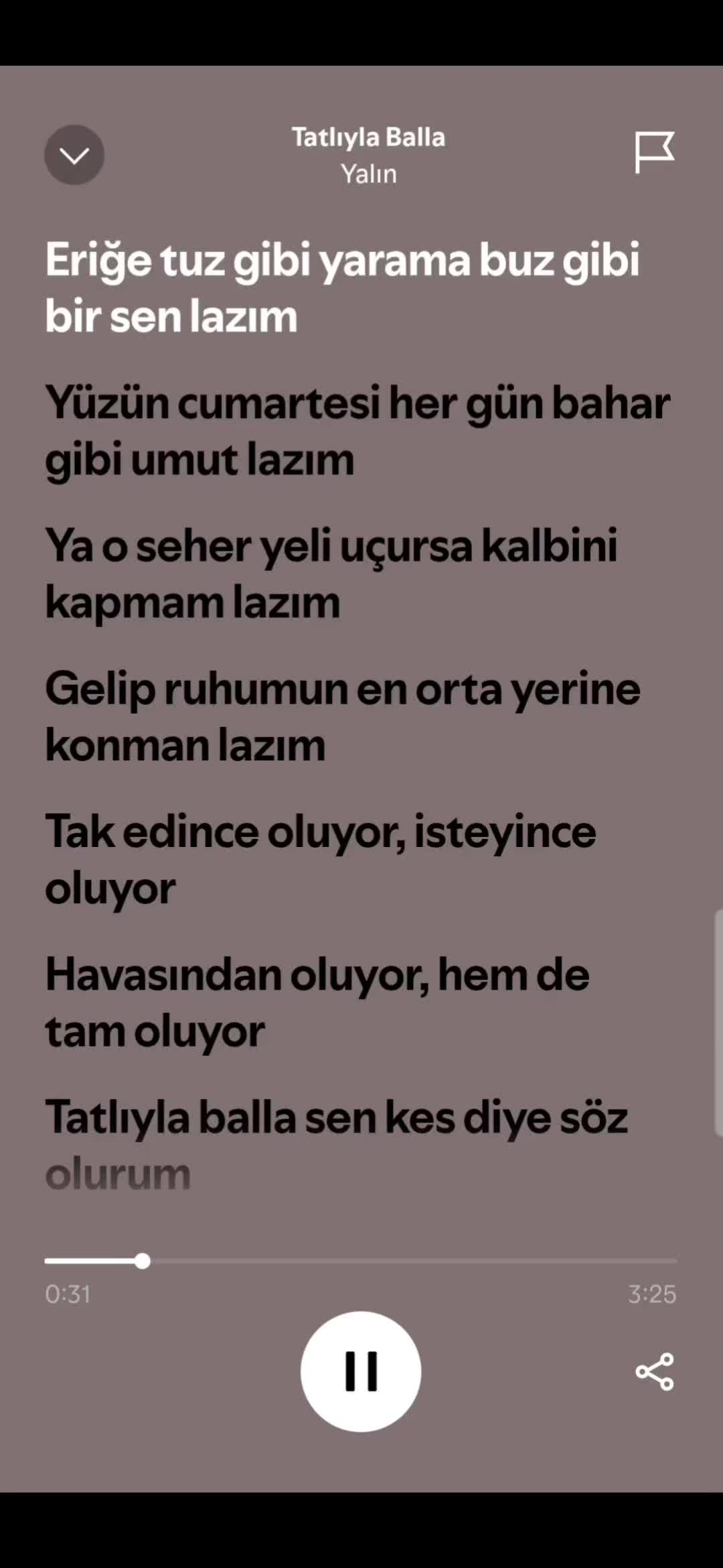 @spotifyy top