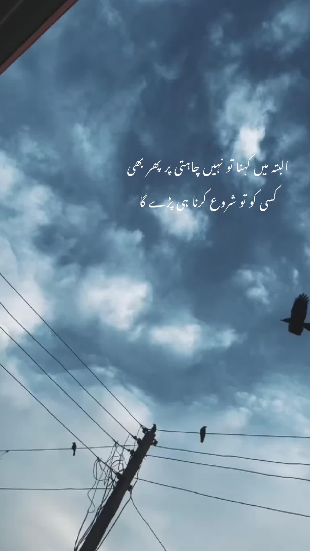 @Fatima Khan❤️