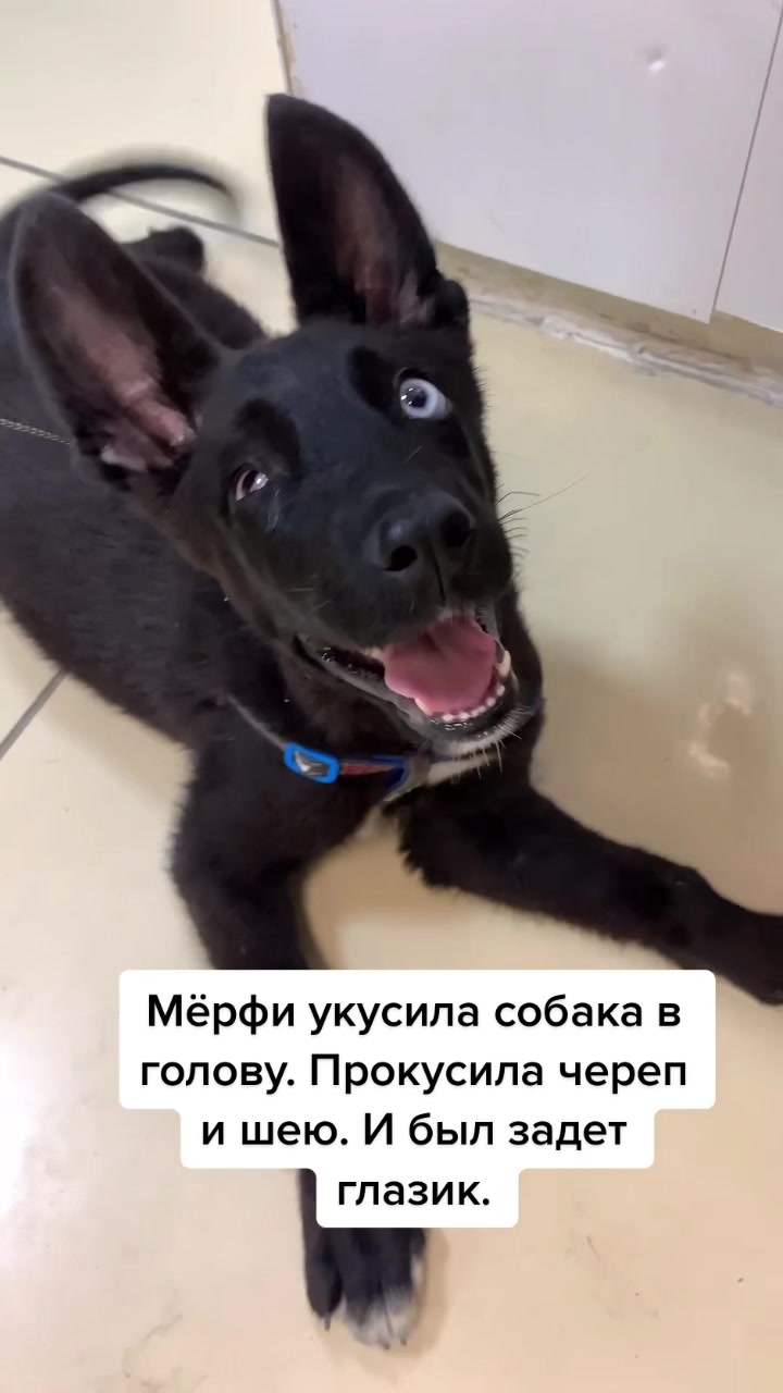 @Кристаллина Марченко