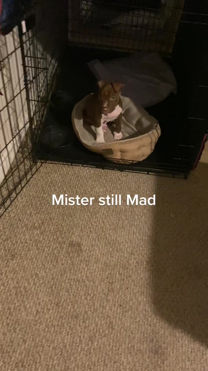 @Mister_granger