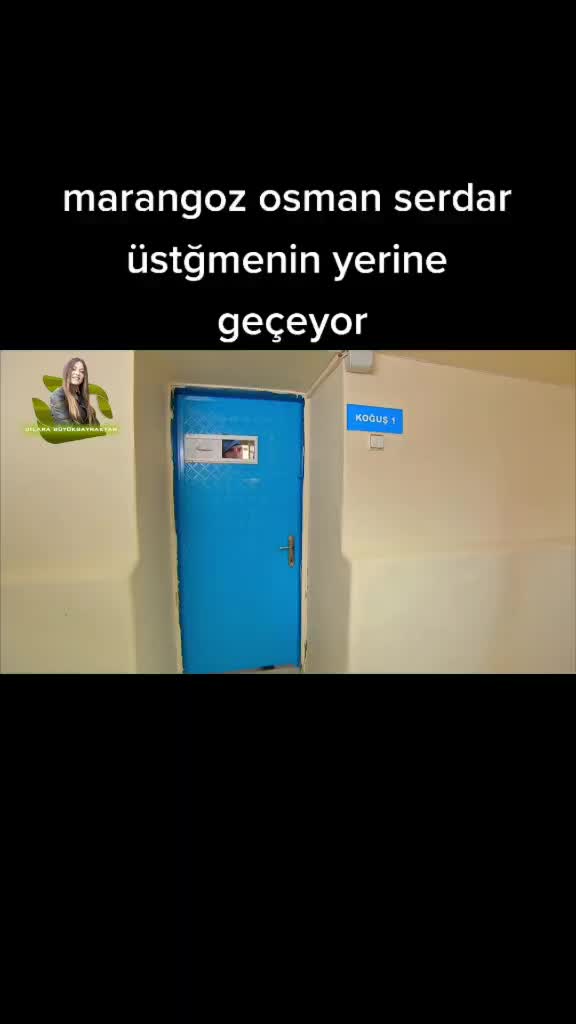 @user97455774664