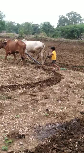 @Tupeshwar Sahu
