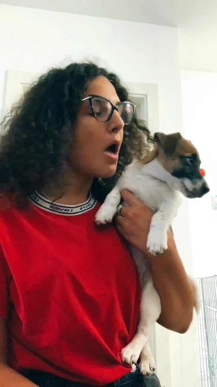 @Federica Cerutti