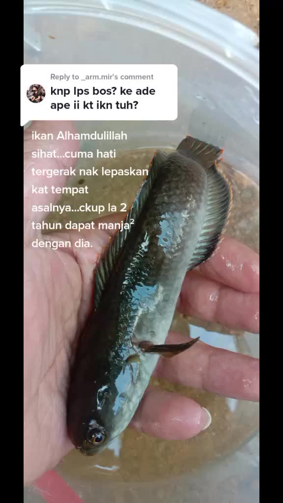 @Pujiqka 🙃