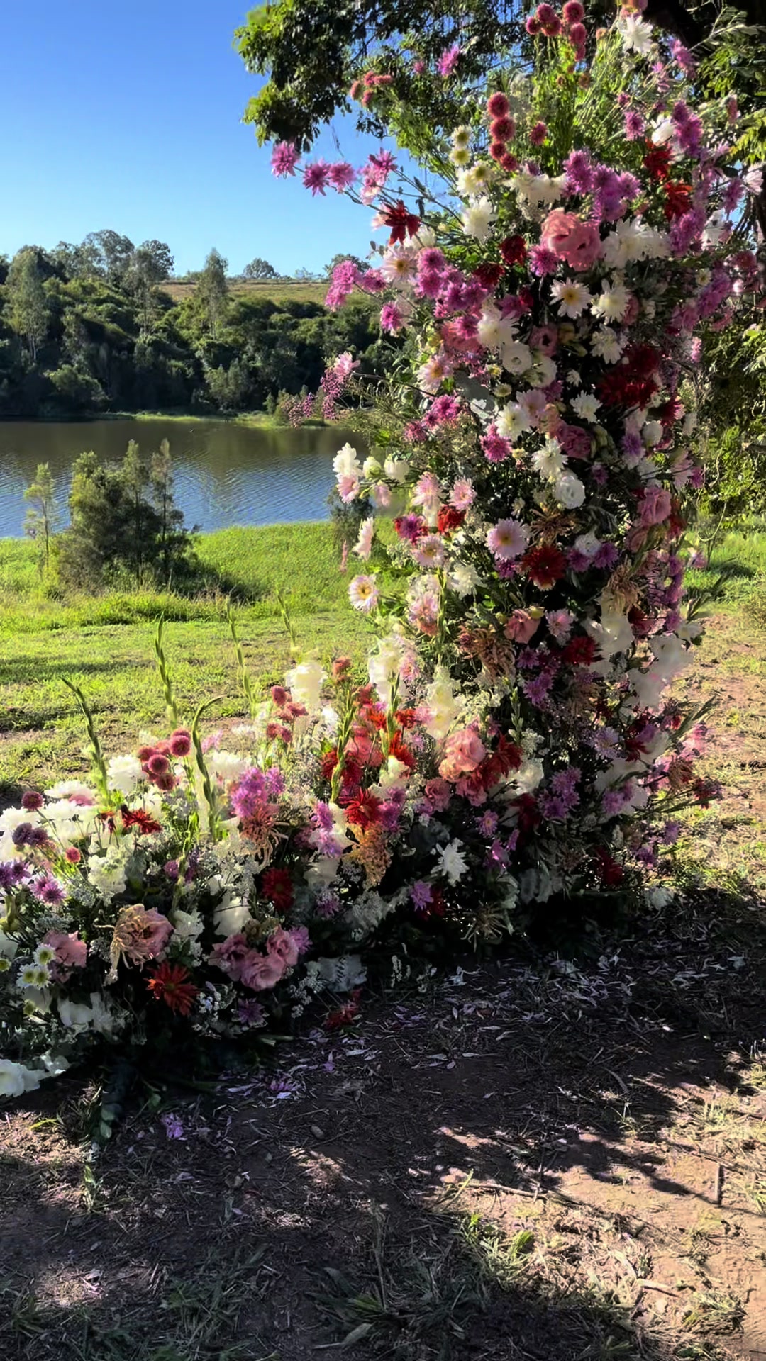 @Lulu Wildflowers | Court 🌸