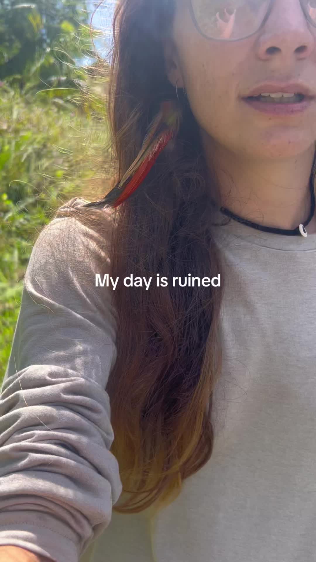 @junglefairyfarm