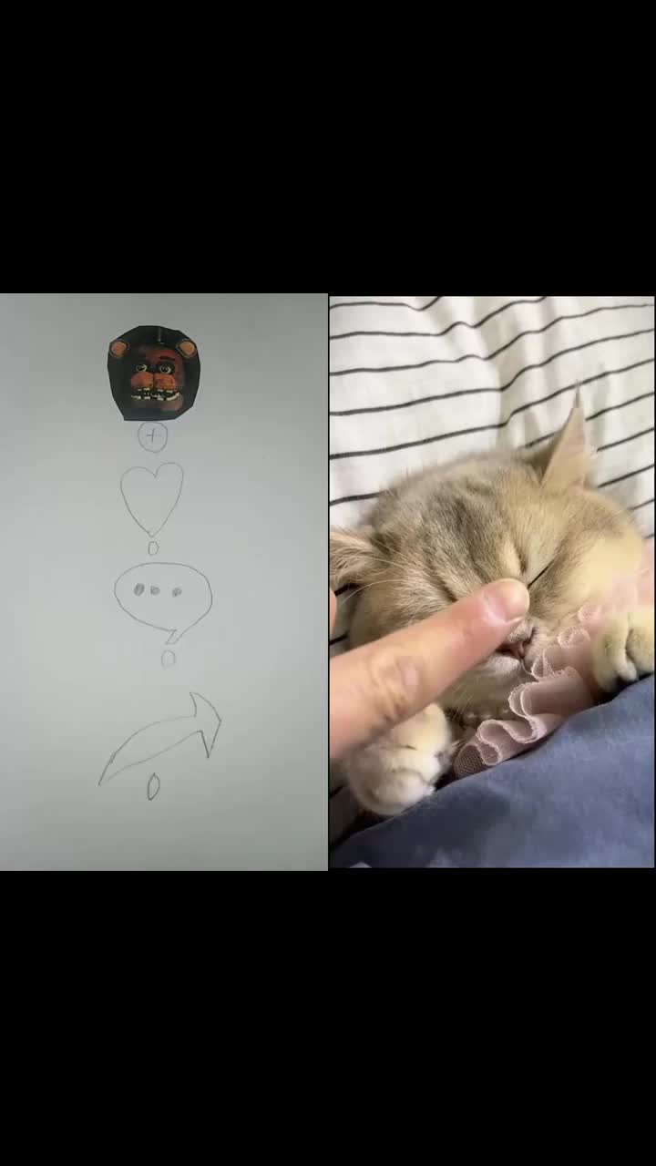 @MAX53573