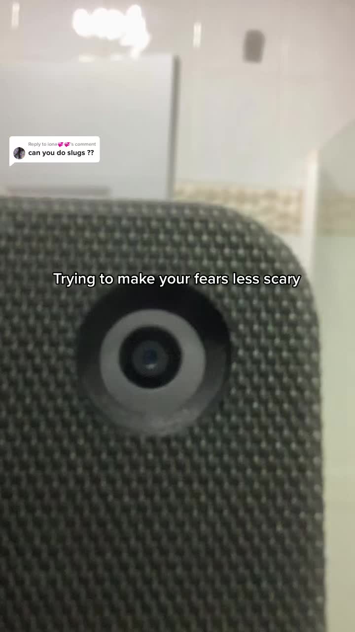 @♛ 𝗣𝗵𝗼𝗯𝗶𝗮𝘀