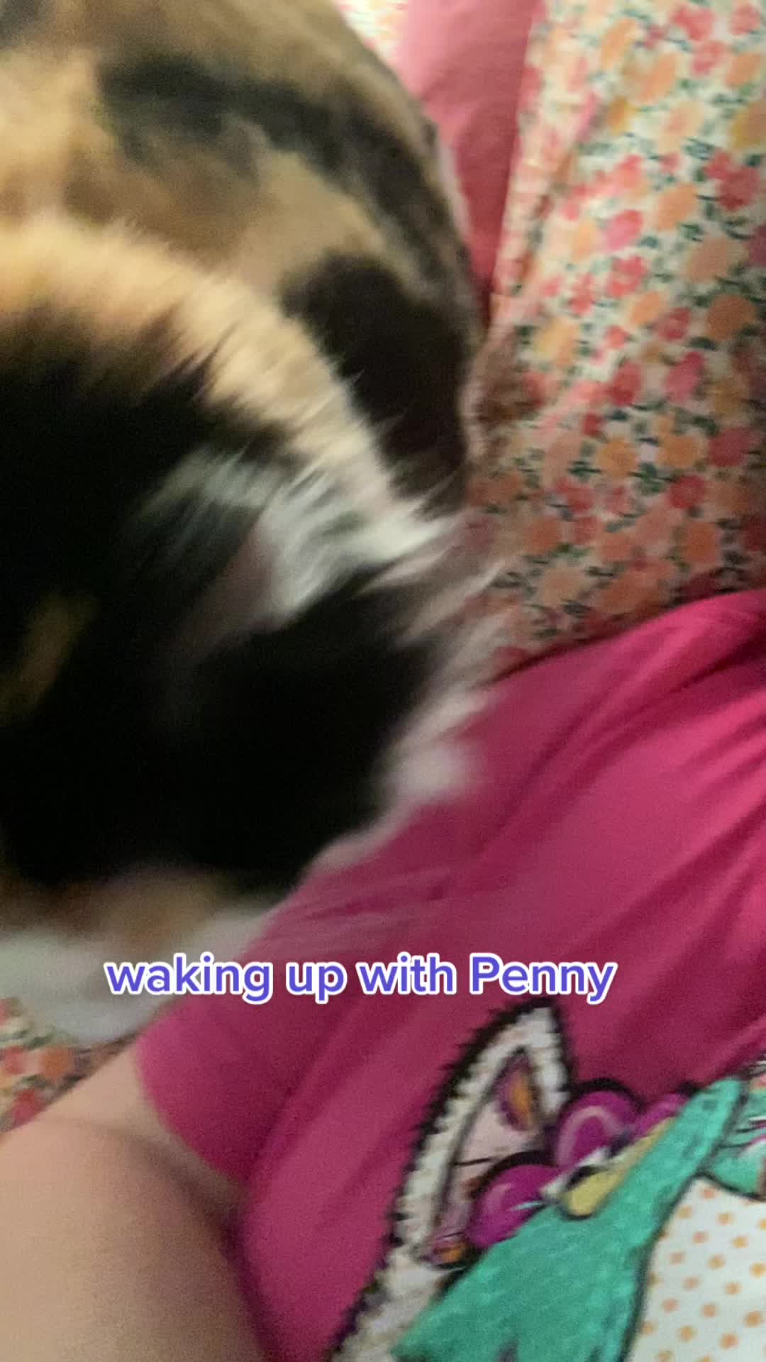 @jess.lucy13