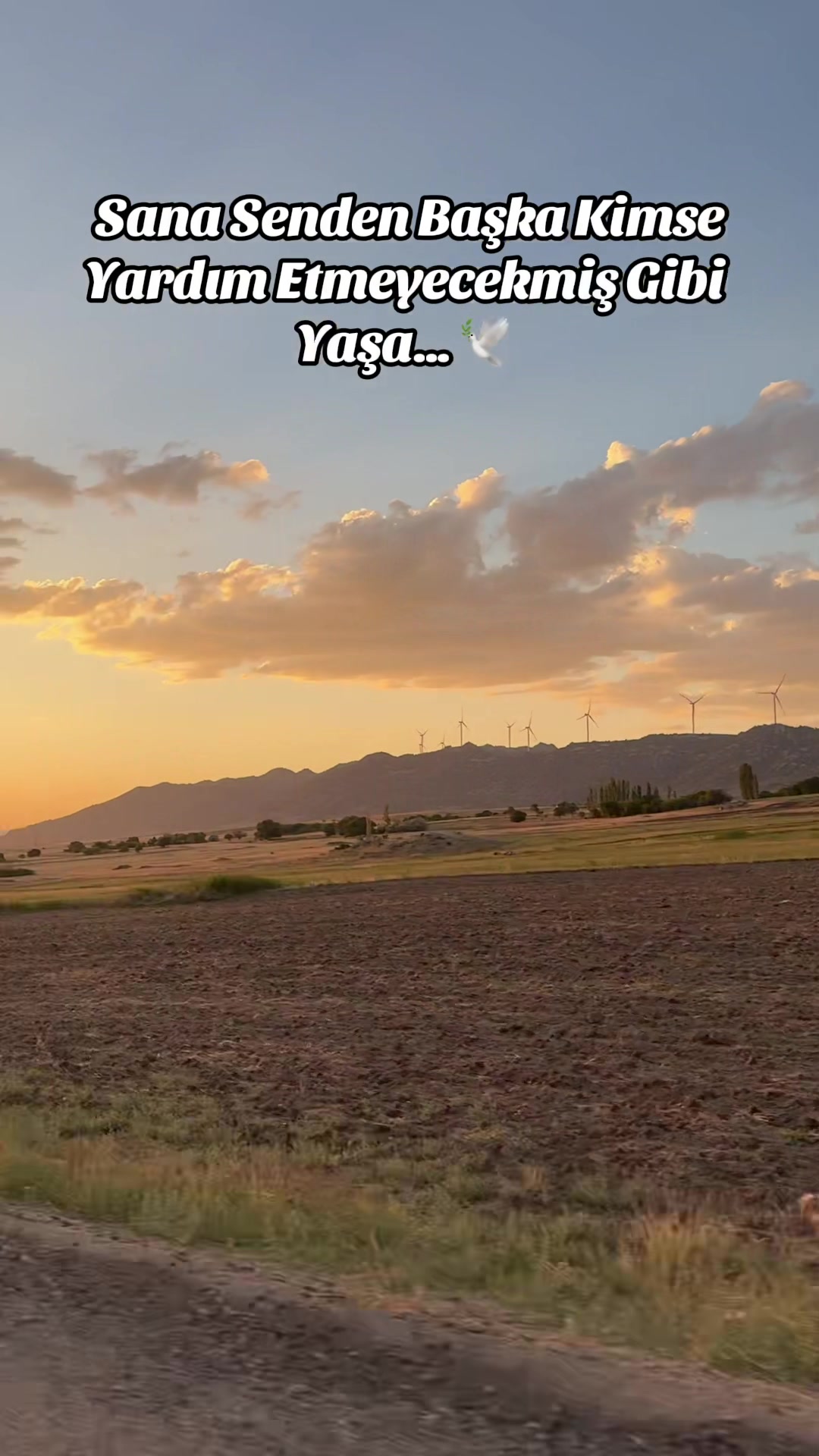 @Halis Cengiz