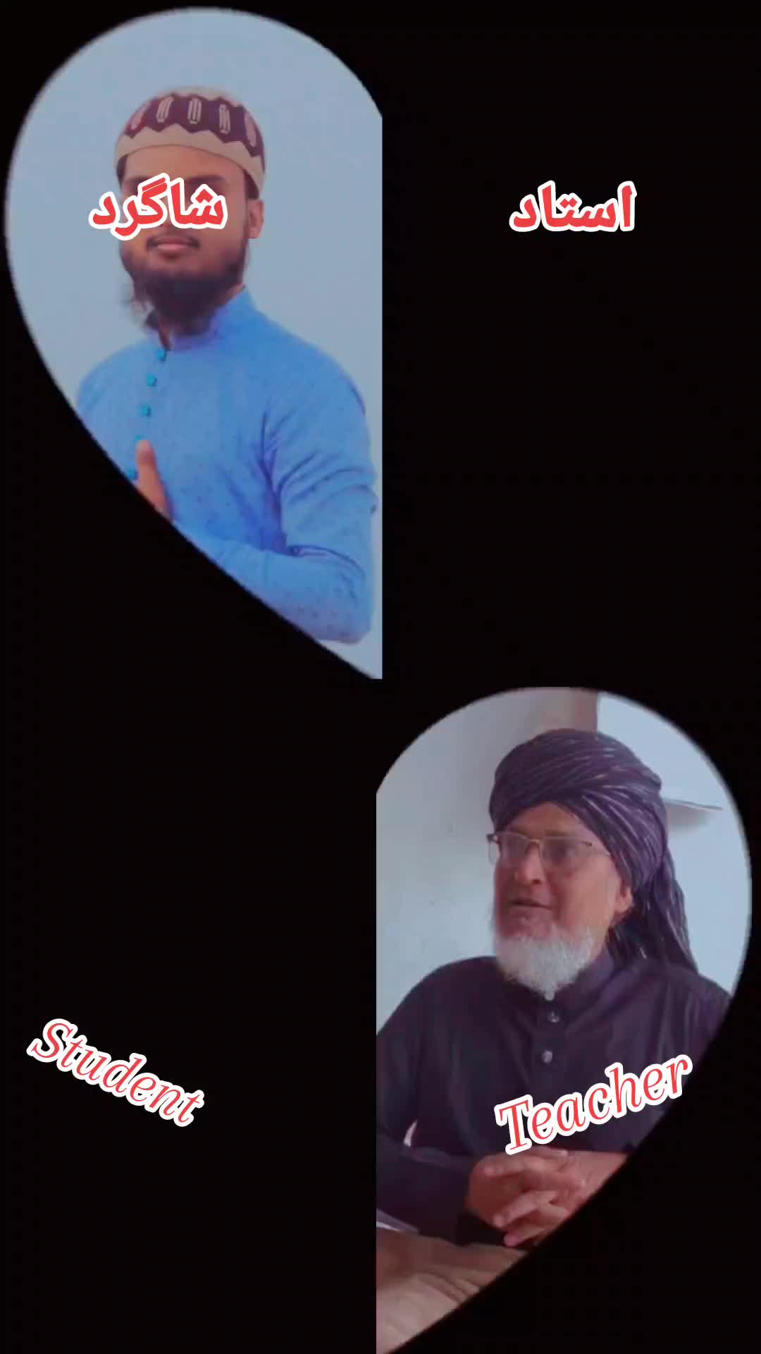 @Ziya Faridi Nepali
