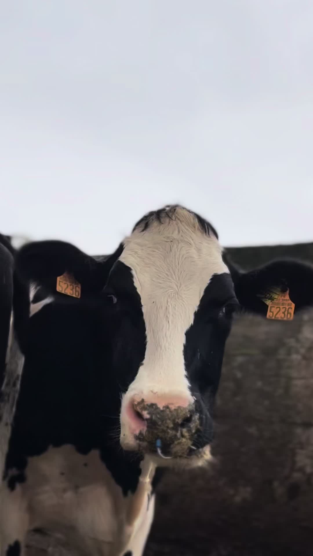 @Lapassionbzh