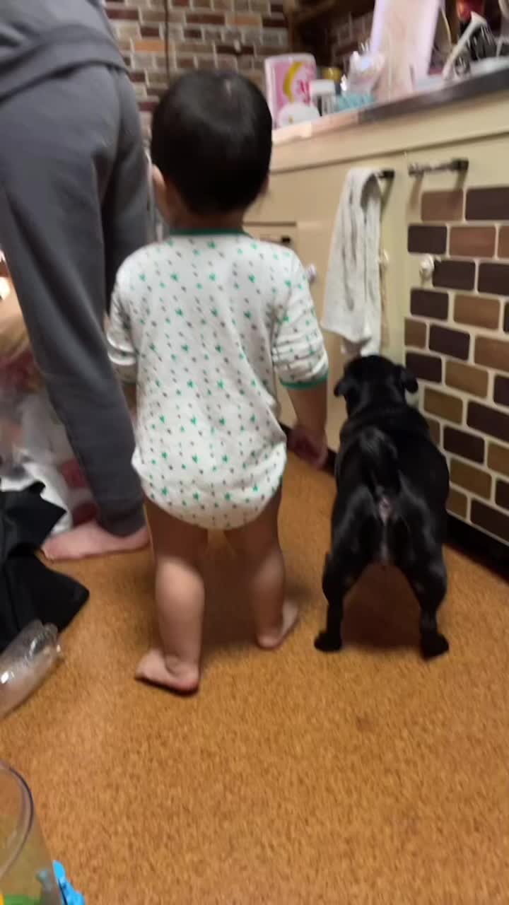 @置かれた場所で咲きなさい