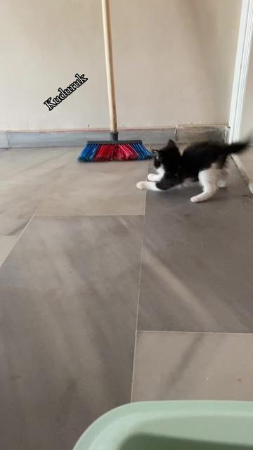 @Bilgen Yılmaz