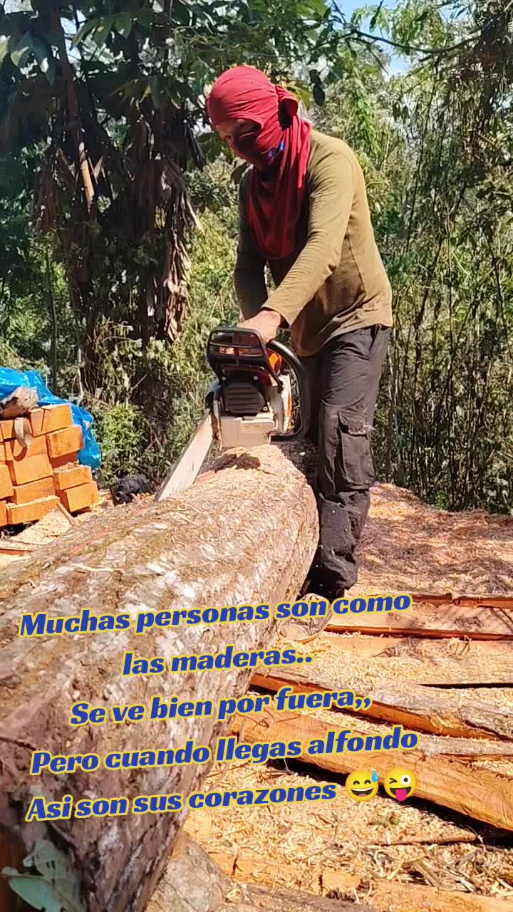@Angelo Azakura Florez