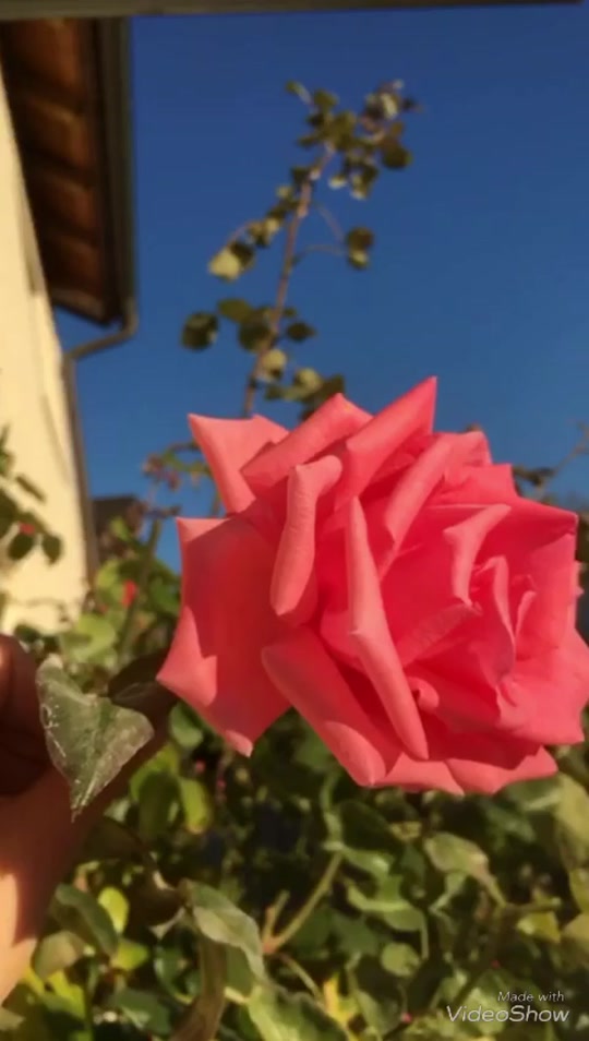 @𝓐𝓮𝓼𝓽𝓱𝓮𝓽𝓲𝓬𝓼