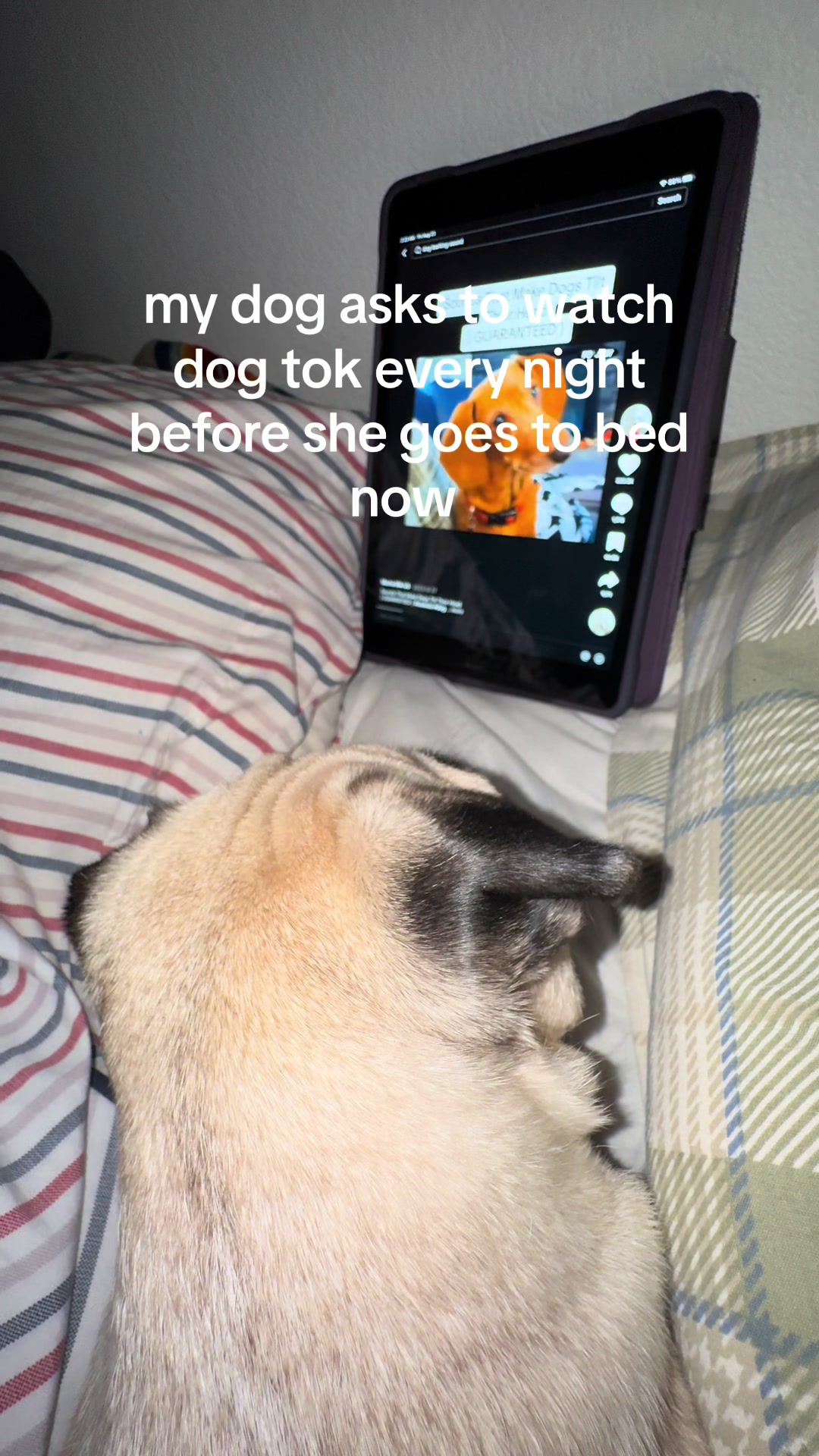 @twodee