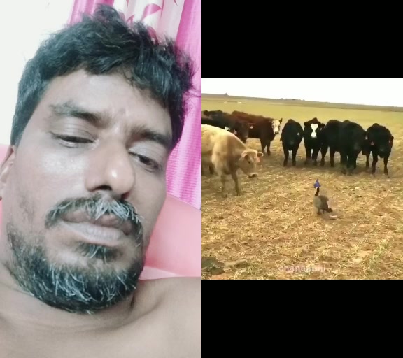 @N. K. RAO