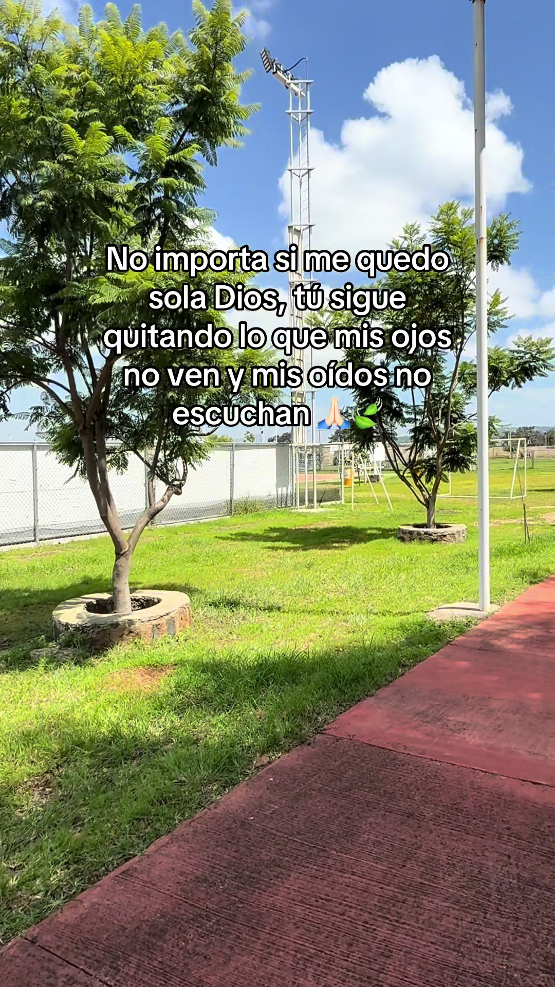 @Carmen Padilla 🎀