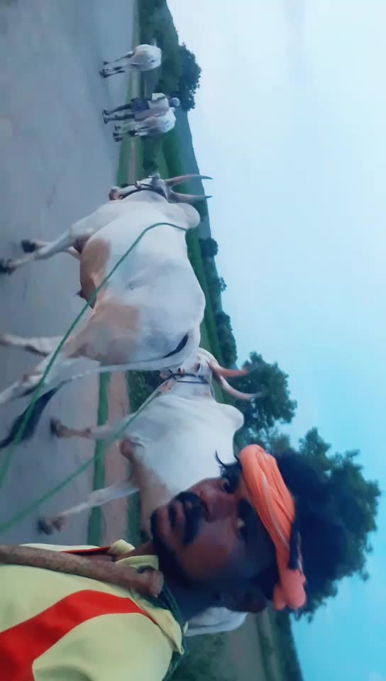 @ಹೂಸೂರು ಹುಲಿ
