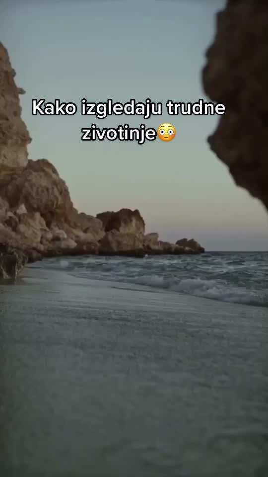 @💙