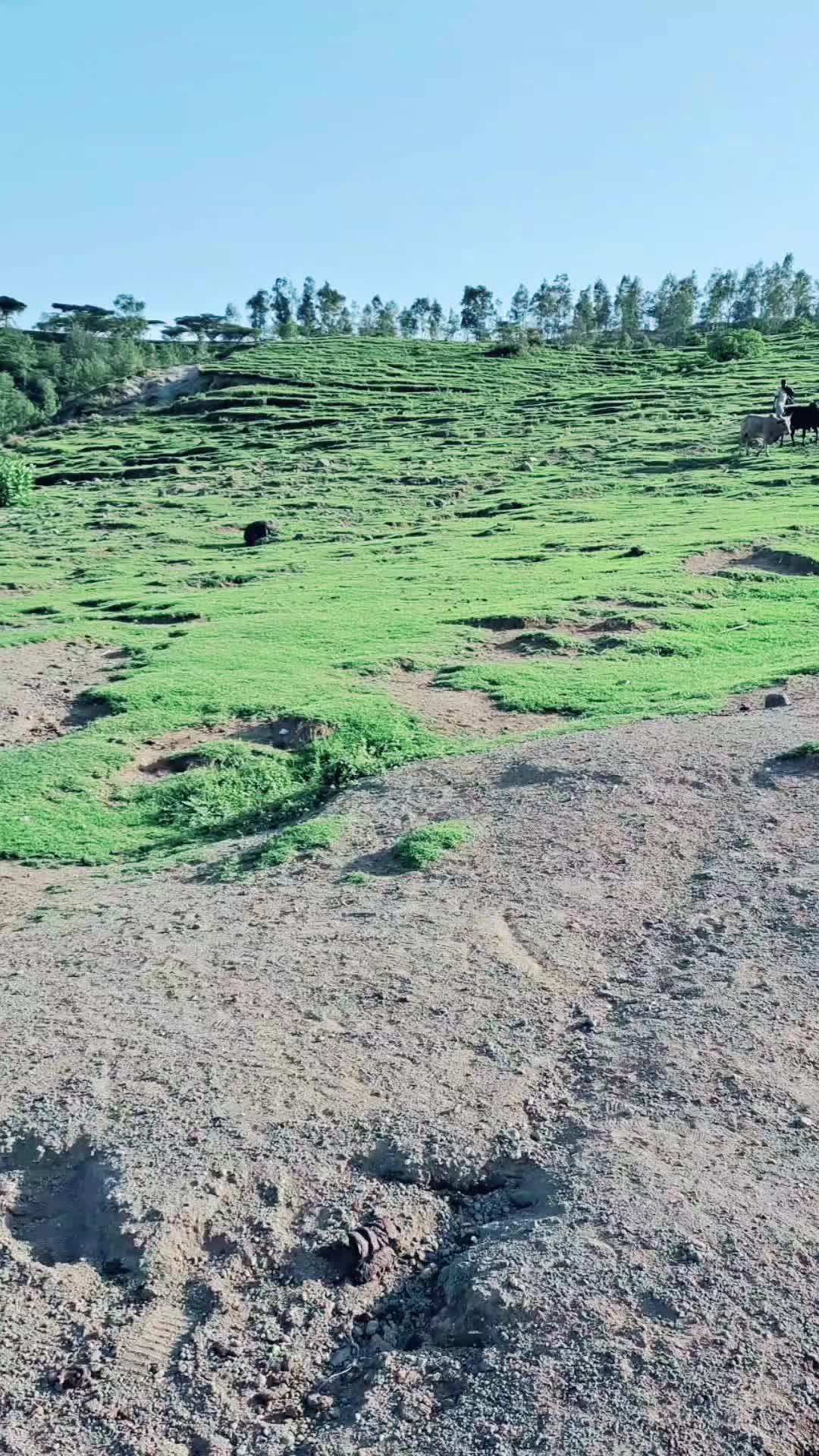 @Visit Bishoftu