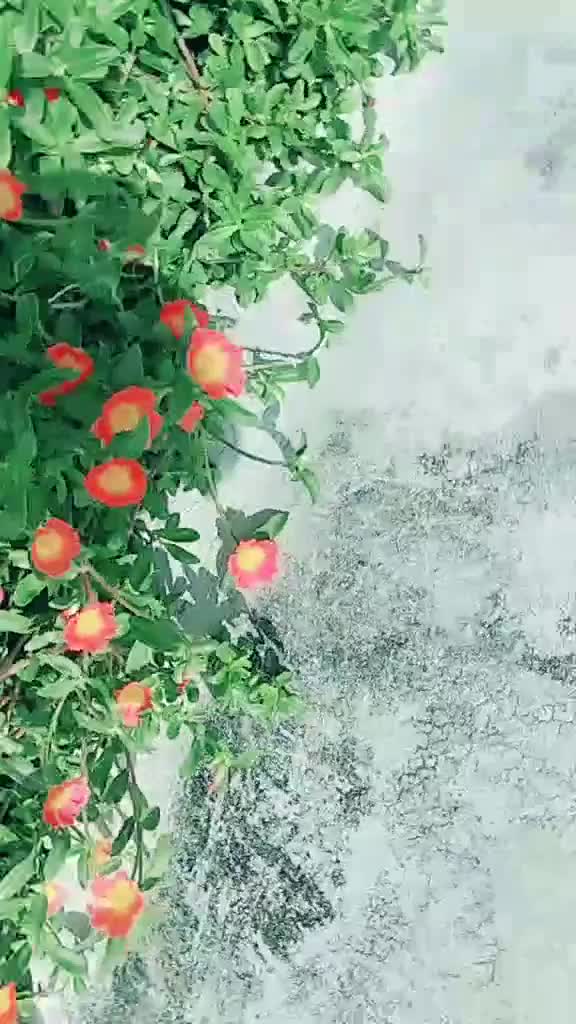 @Subham Naik
