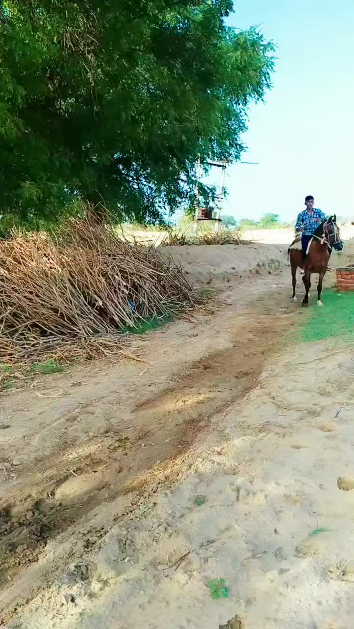 @MUKESHRAJPUROHIT