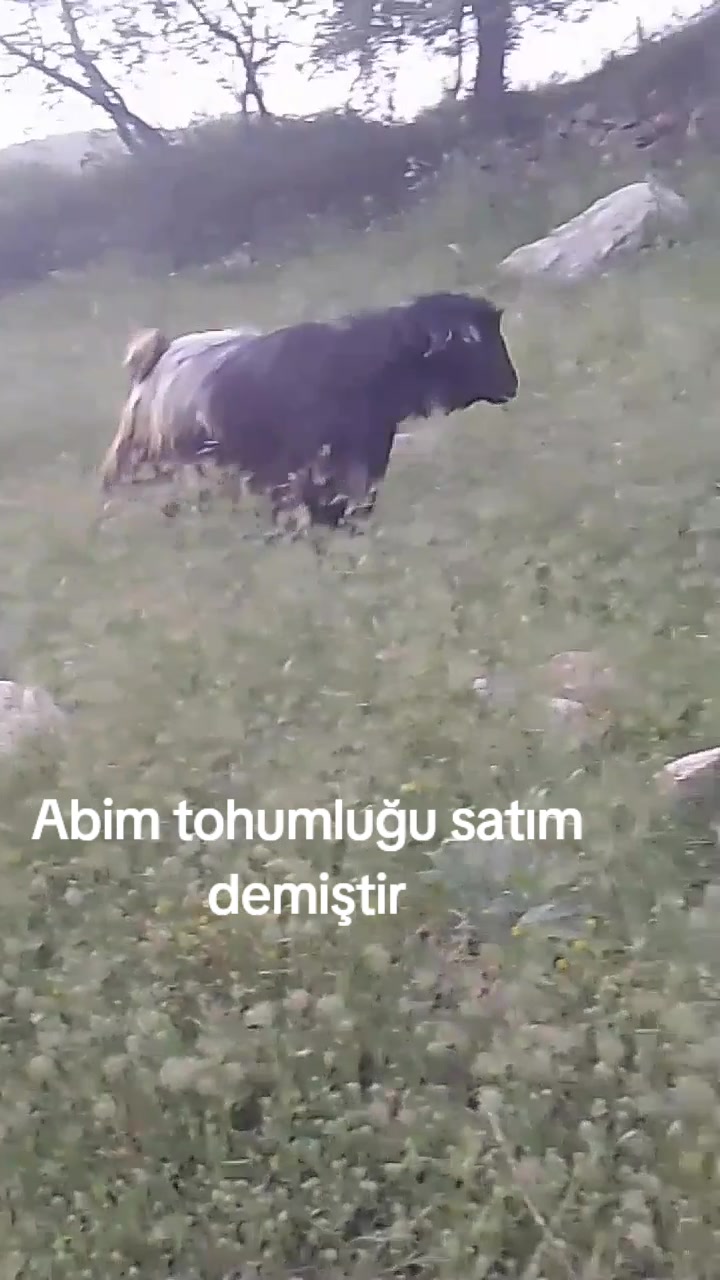 @⚔️ENES &Ccedil;ETİN⚔️