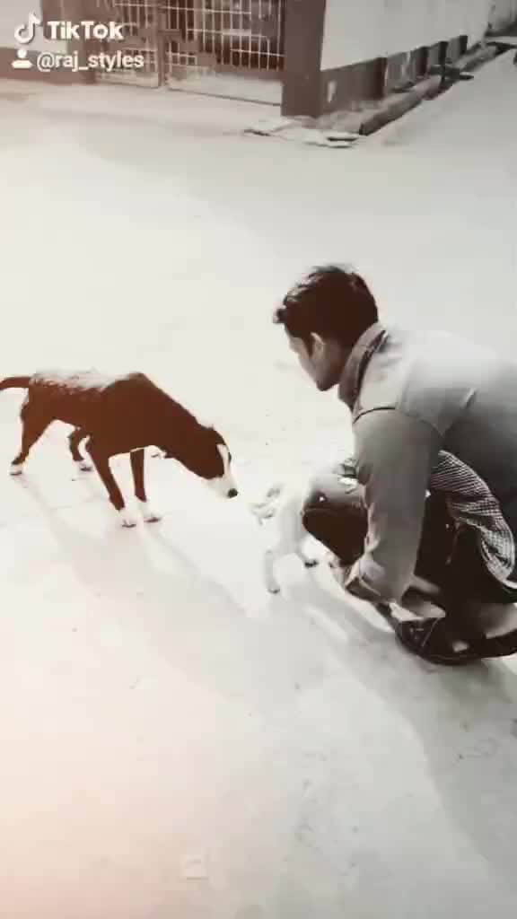 @I̊_Am _🇸 🇹 🇾 🇱 🇪s̊_Boy_