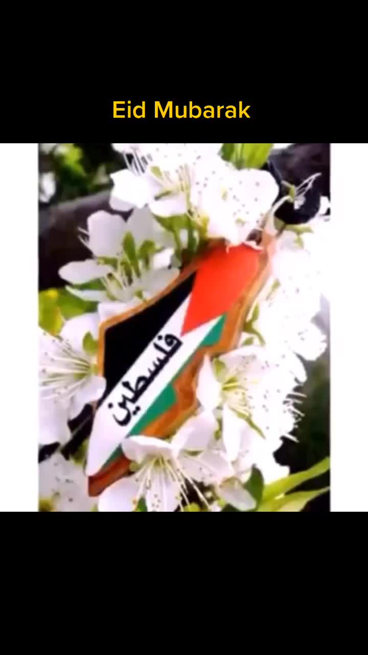 @Sal H