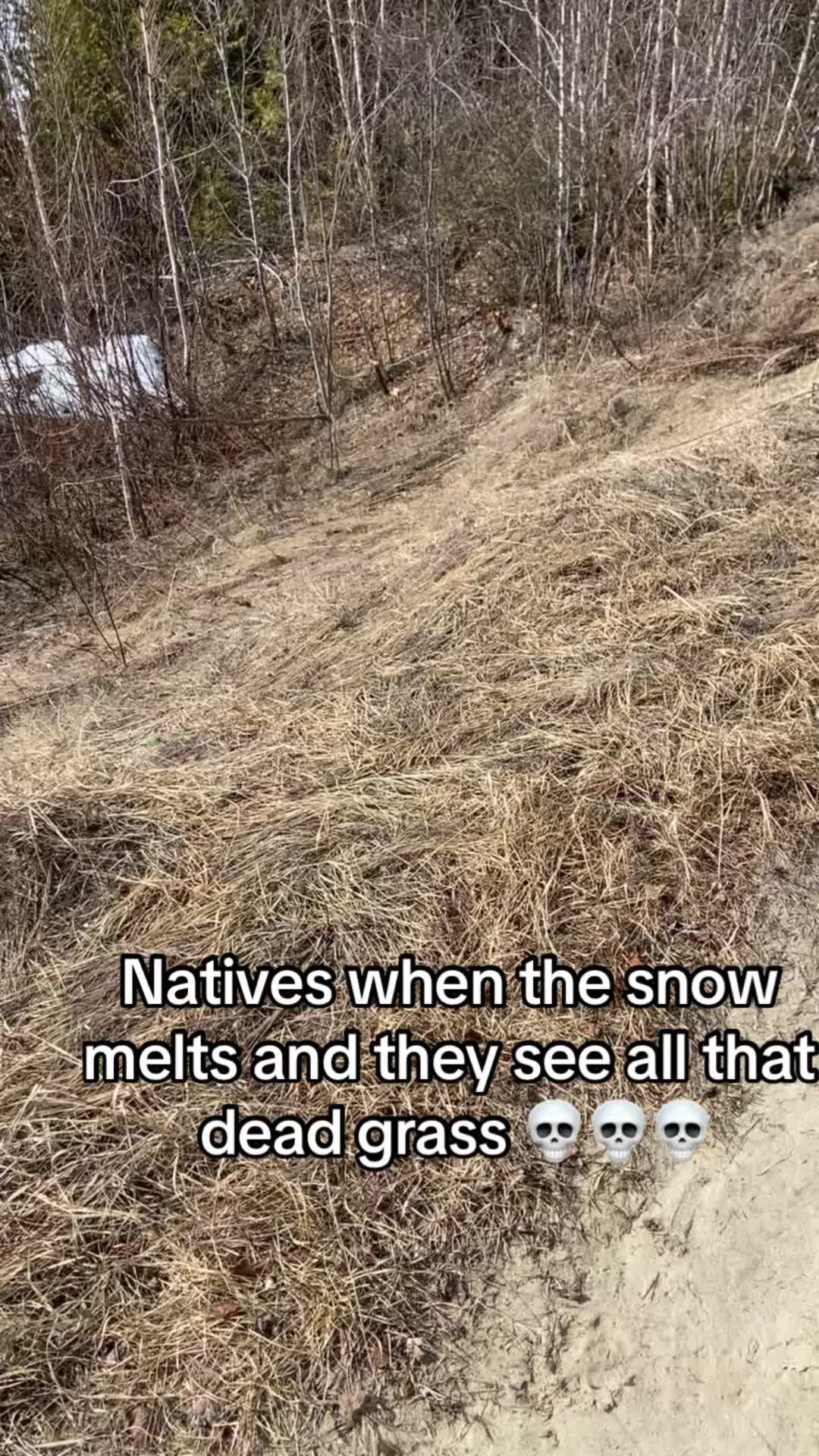 @sativa