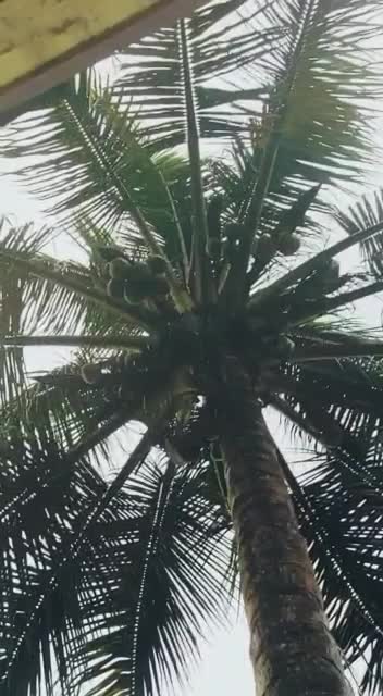@Aj_dhruva