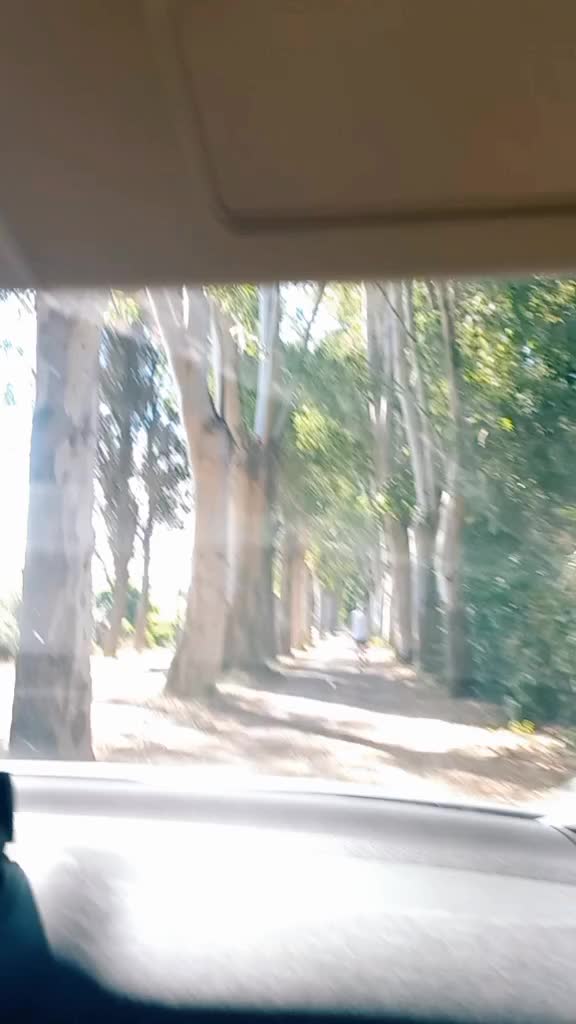 @fjori.koci