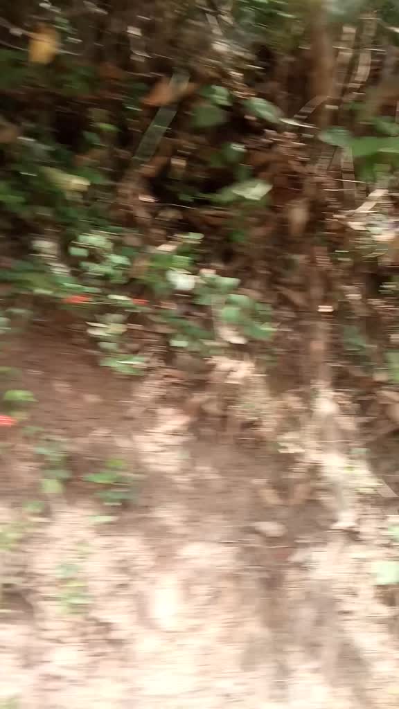 @കലിപ്പന്റെ കാന്താരി