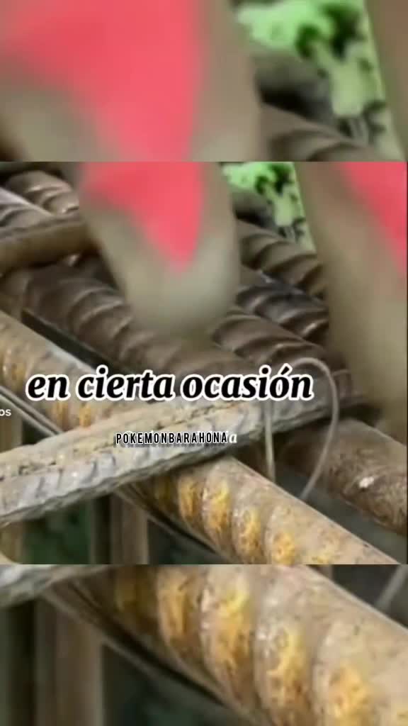 @🐯PIKACHU BARAHONA🐯