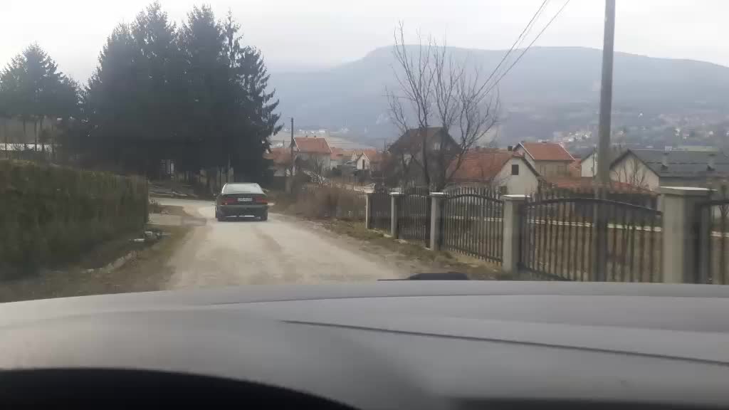 @Admir lugii