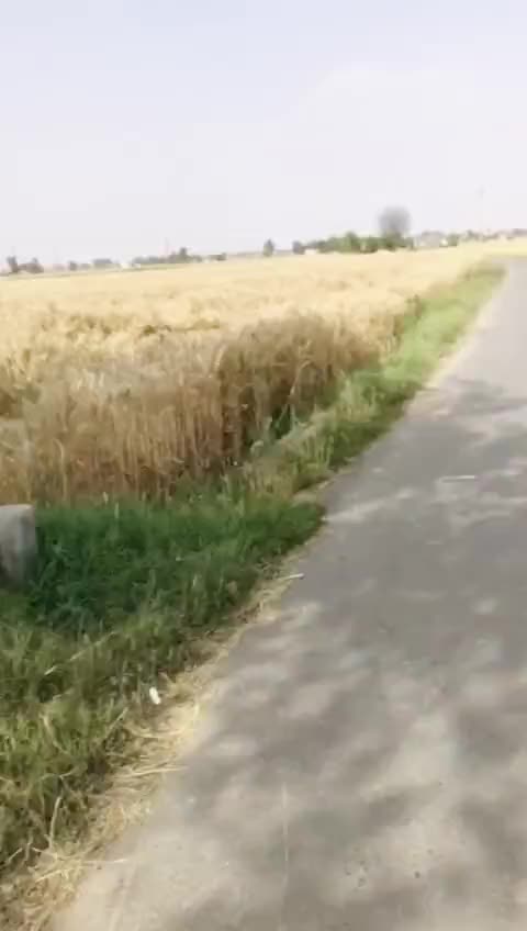 @Abhay Wander