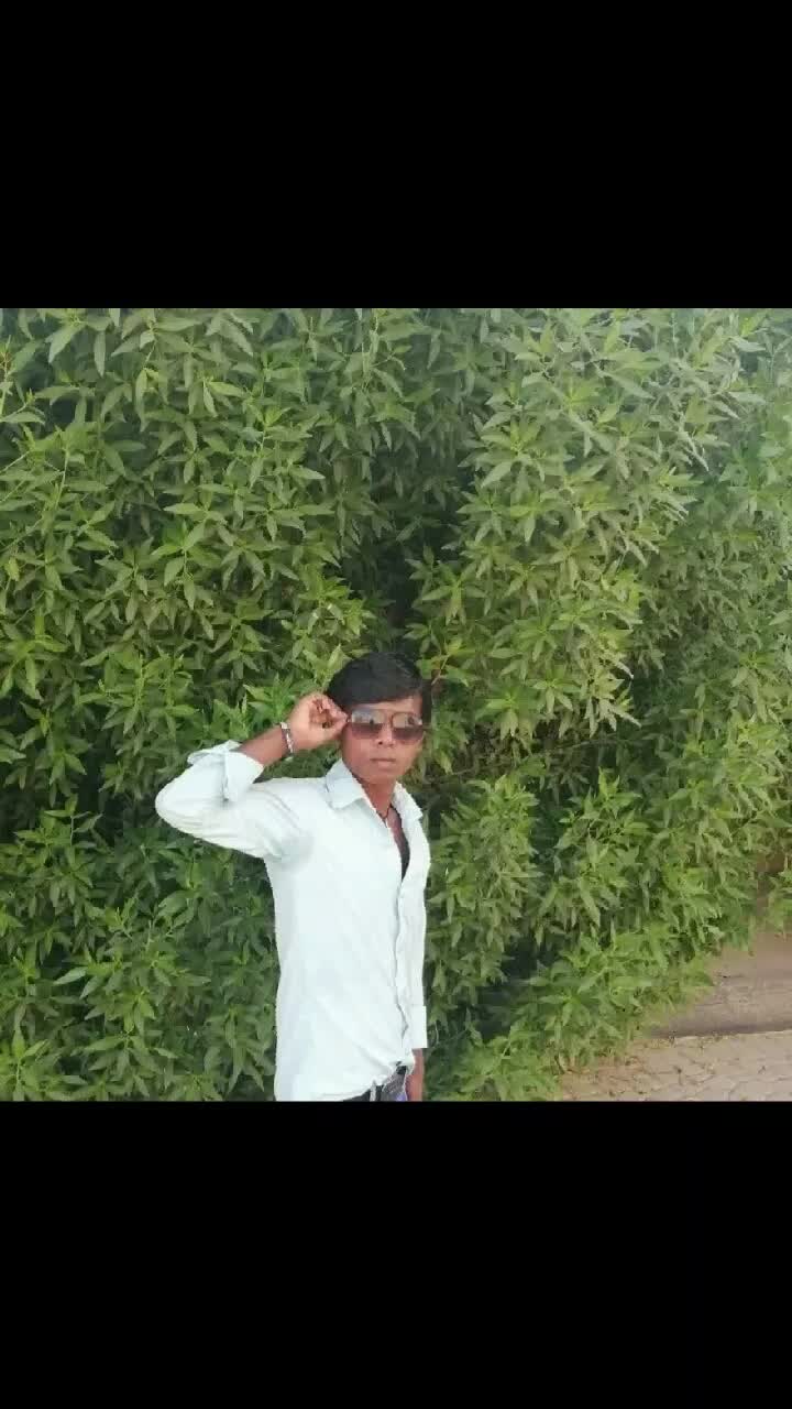 @Susan Live