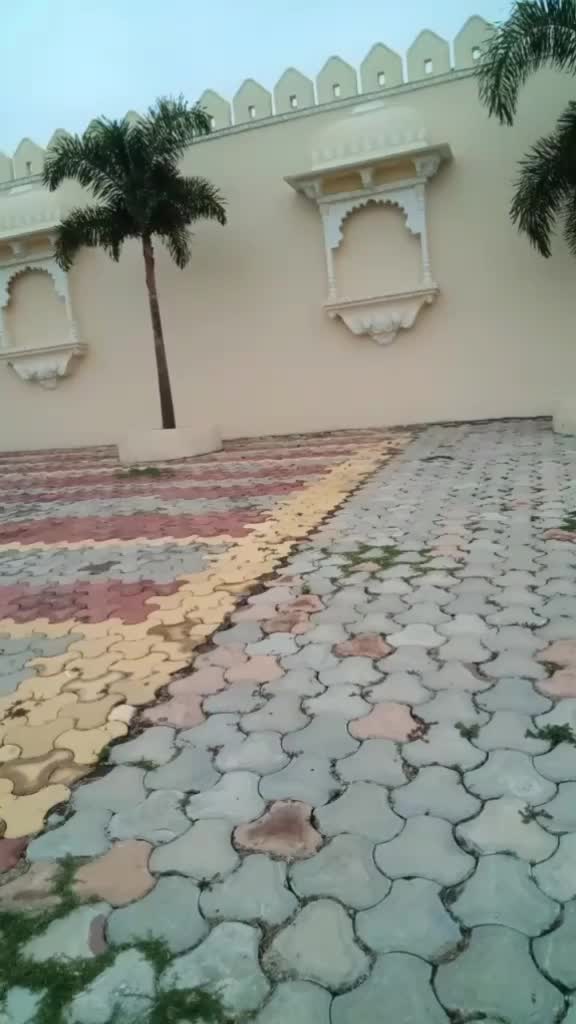@Vicky_576