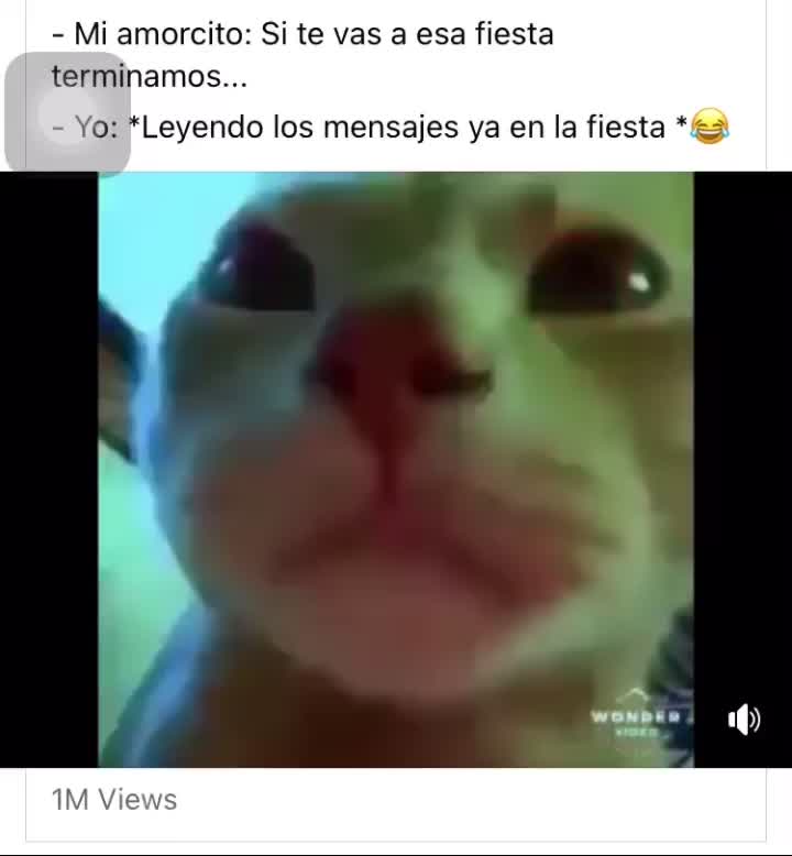 @Lily Garcia