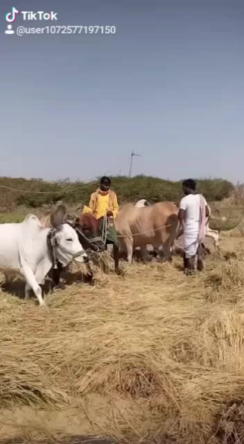 @Venkatppa Kakalwar