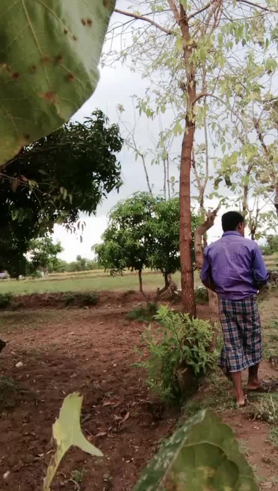 @M Ramesh