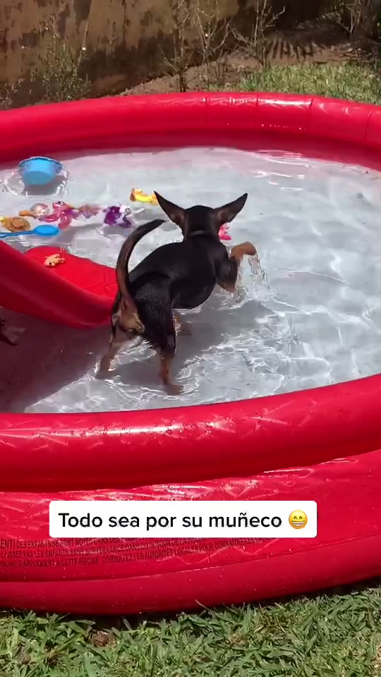 @Team Luna