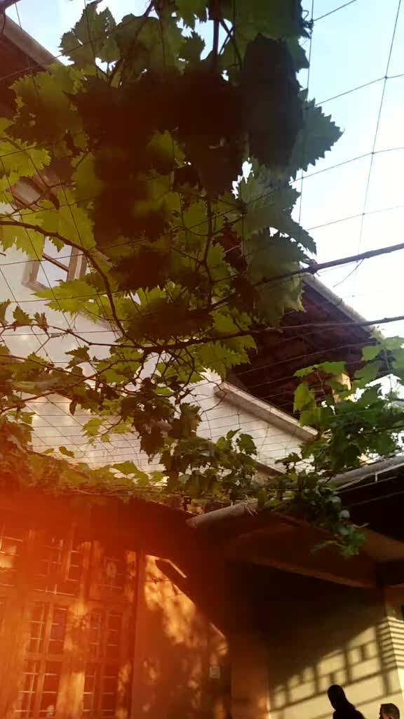 @Sreeshma Jijeesh