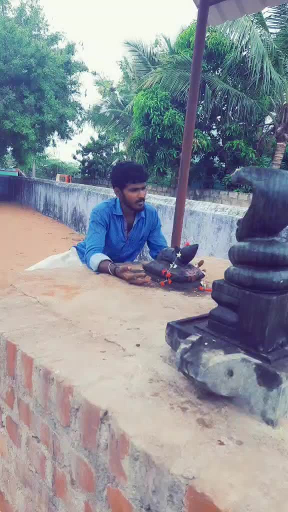 @user66471932130
